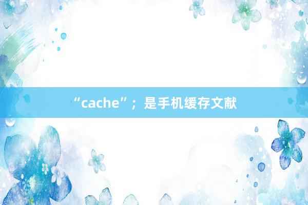 “cache”；是手机缓存文献